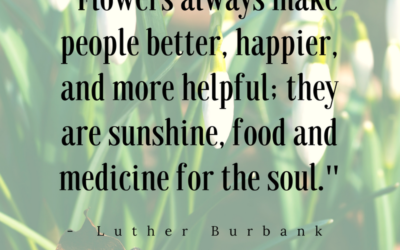 “[Flowers] are sunshine, food and medicine for the soul.”