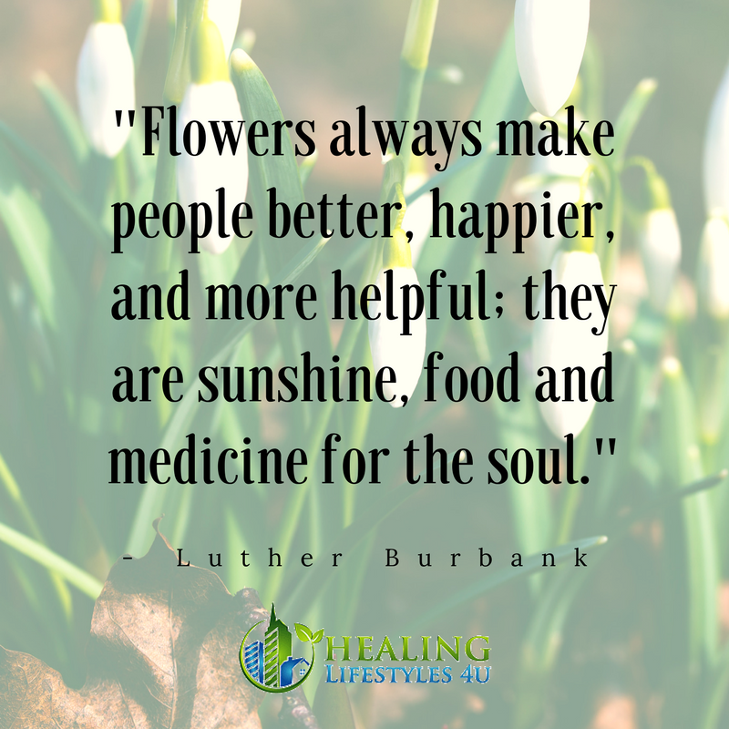 Flowers] are sunshine, food and medicine for the soul.” | Healing ...