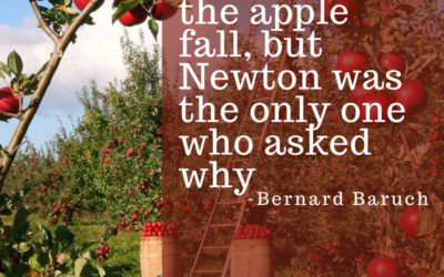 Million saw the apple fall, but Newton was the only one who asked why.