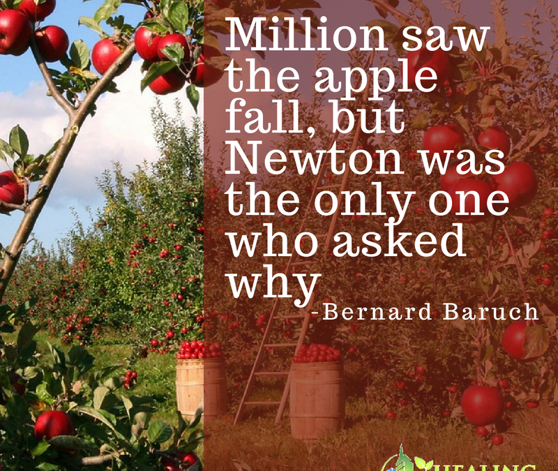 Million saw the apple fall, but Newton was the only one who asked why.