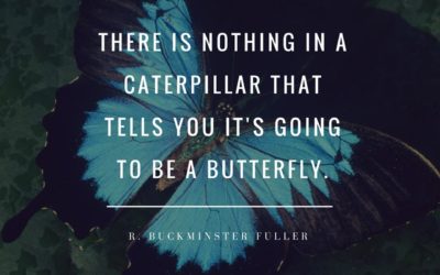 There is nothing in a caterpillar that tells you it’s going to be a butterfly.