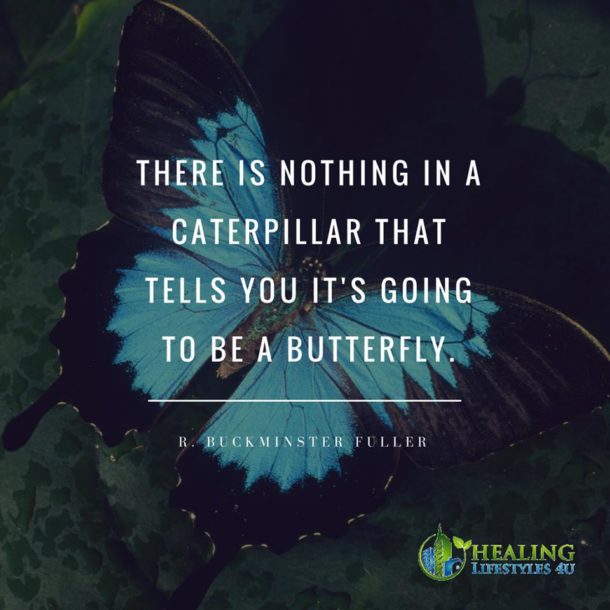 There is nothing in a caterpillar that tells you it’s going to be a ...