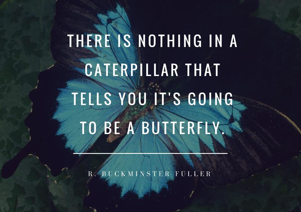 There is nothing in a caterpillar that tells you it’s going to be a butterfly.