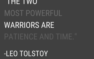 The two most powerful warriors are patience and time