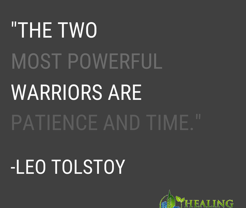 The two most powerful warriors are patience and time