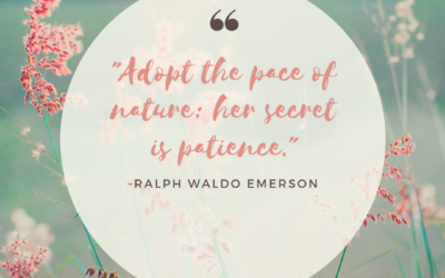 Adopt the pace of nature: her secret is patience