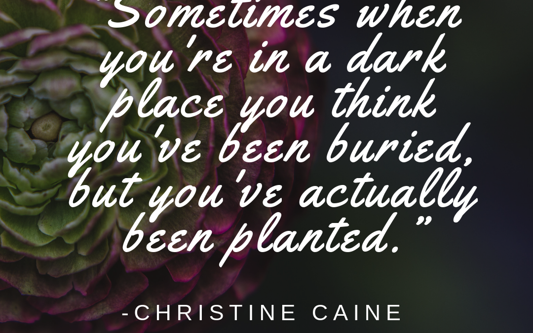 Sometimes when you’re in a dark place you think you’ve been buried, but you’ve actually been planted