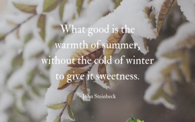 What good is the warmth of summer, without the cold of winter to give it sweetness