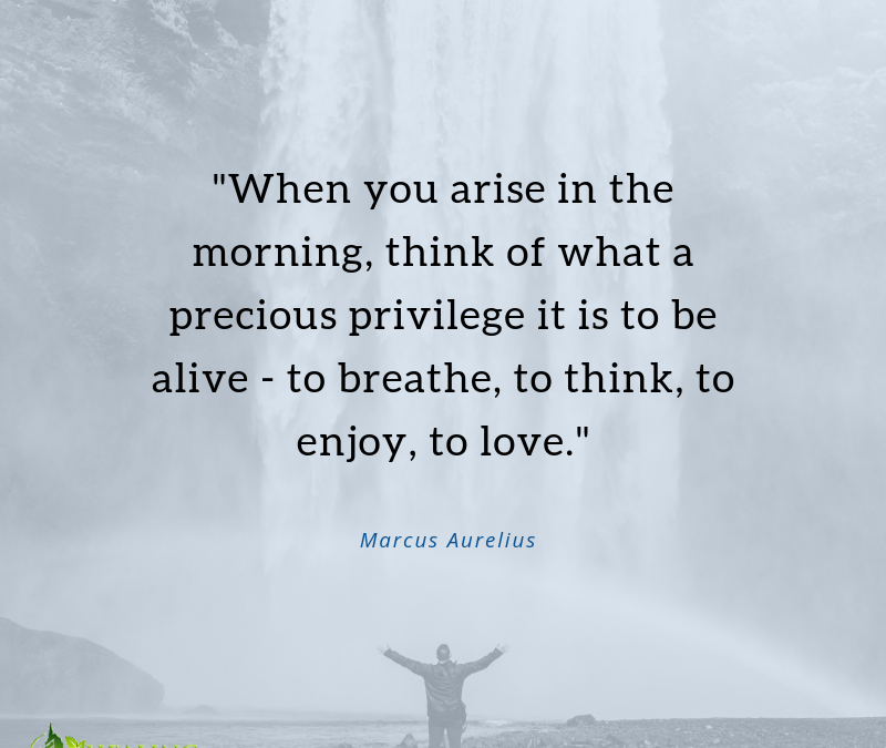 When you arise in the morning, think of what a precious privilege it is to be alive