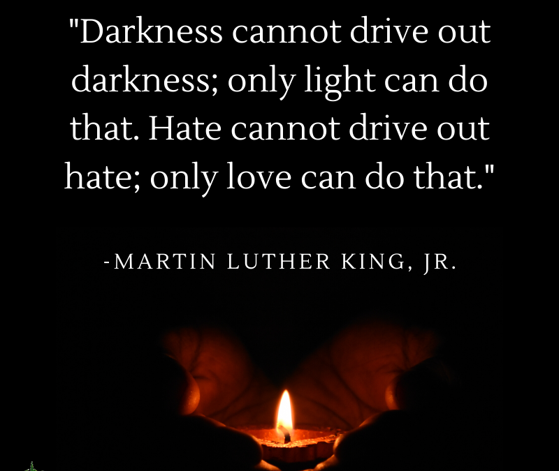 Darkness cannot drive out darkness; only light can do that. Hate cannot drive out hate; only love can do that.